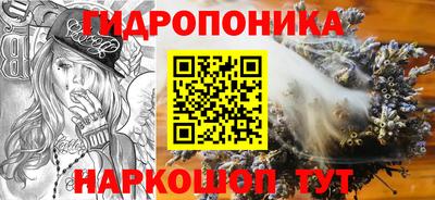 СК Конаково